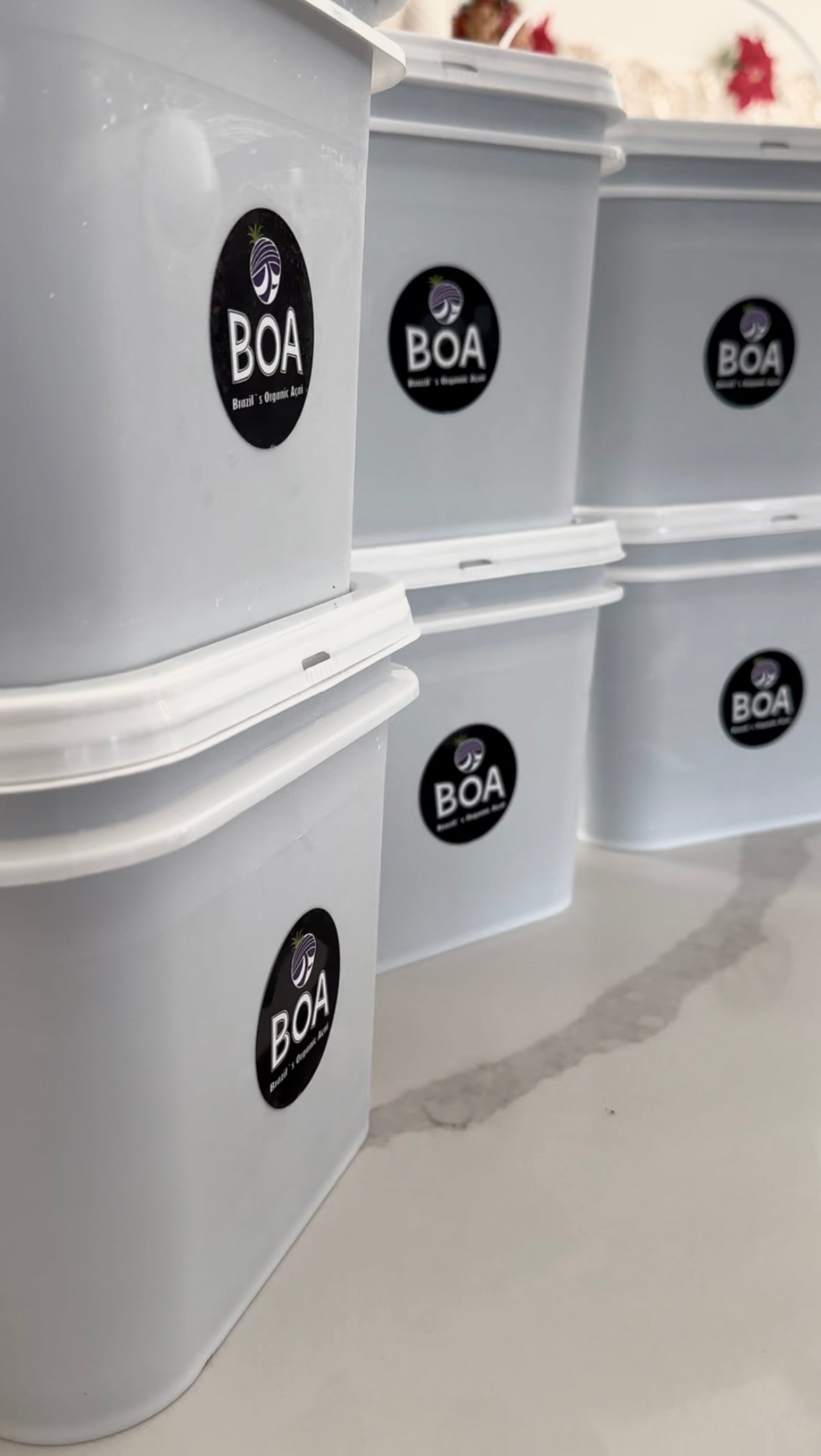 BOA Organic Açaí (1 Gallon)